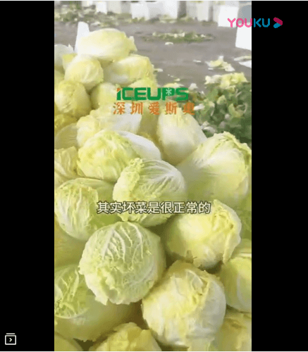 娃娃菜需要快速降溫，帶走熱量和水份后不會(huì)壞菜